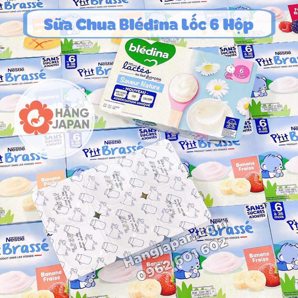 Sữa chua nguội Bledina lốc 6 hộp mẫu mới cho bé từ 6M+ 32 Sữa Chua Nguội Bledina Lốc 6 Hộp Mẫu Mới Cho Bé Từ 6m+ (10)