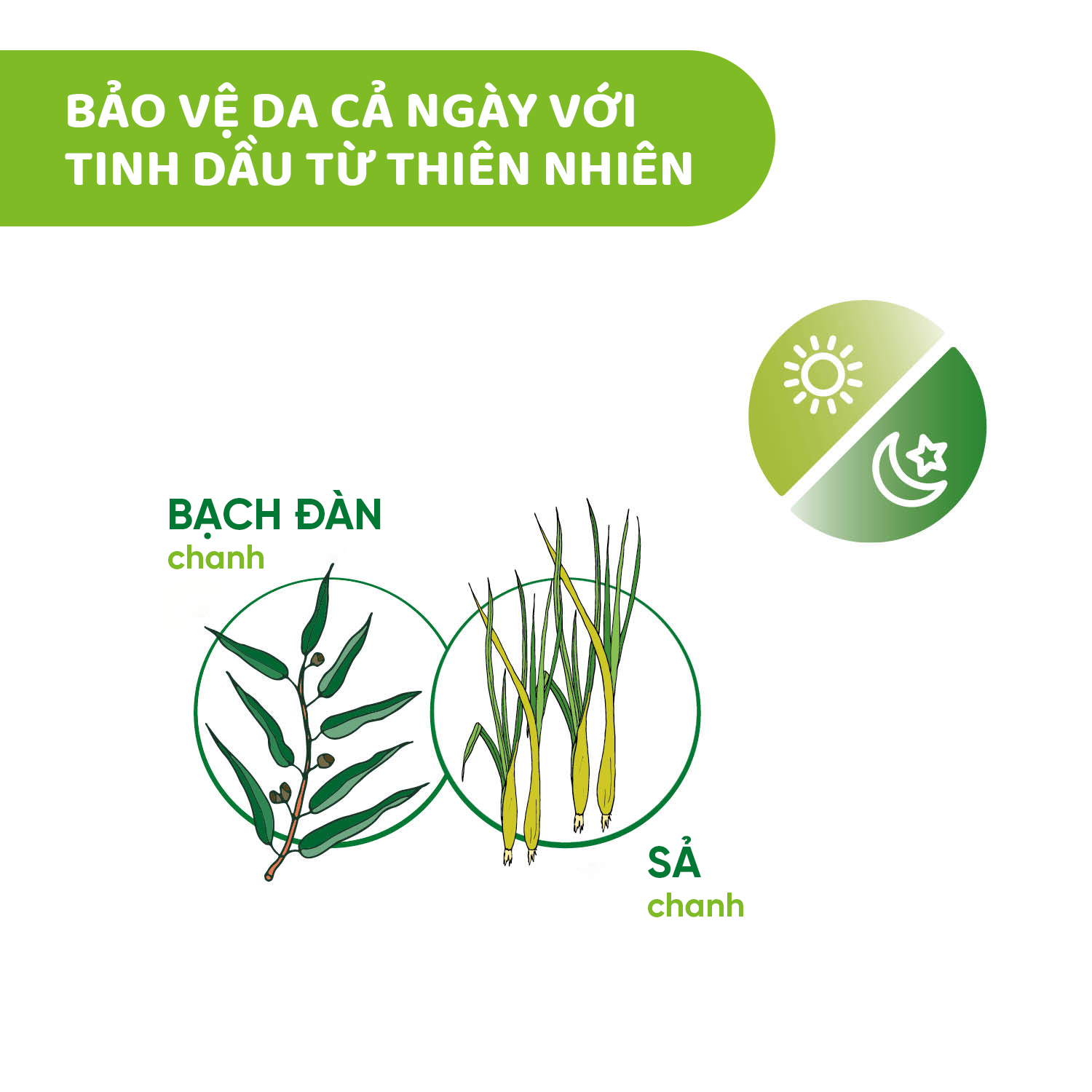 Xịt bảo vệ da chiết xuất tinh dầu tự nhiên Chicco NaturalZ 100ml Xịt bảo vệ da chiết xuất tinh dầu tự nhiên Chicco NaturalZ 100ml