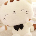 Custom avatar