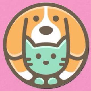 Custom avatar