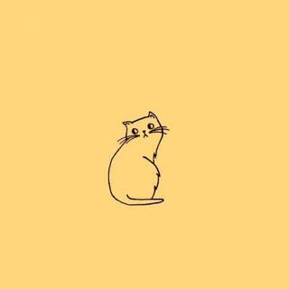 Custom avatar