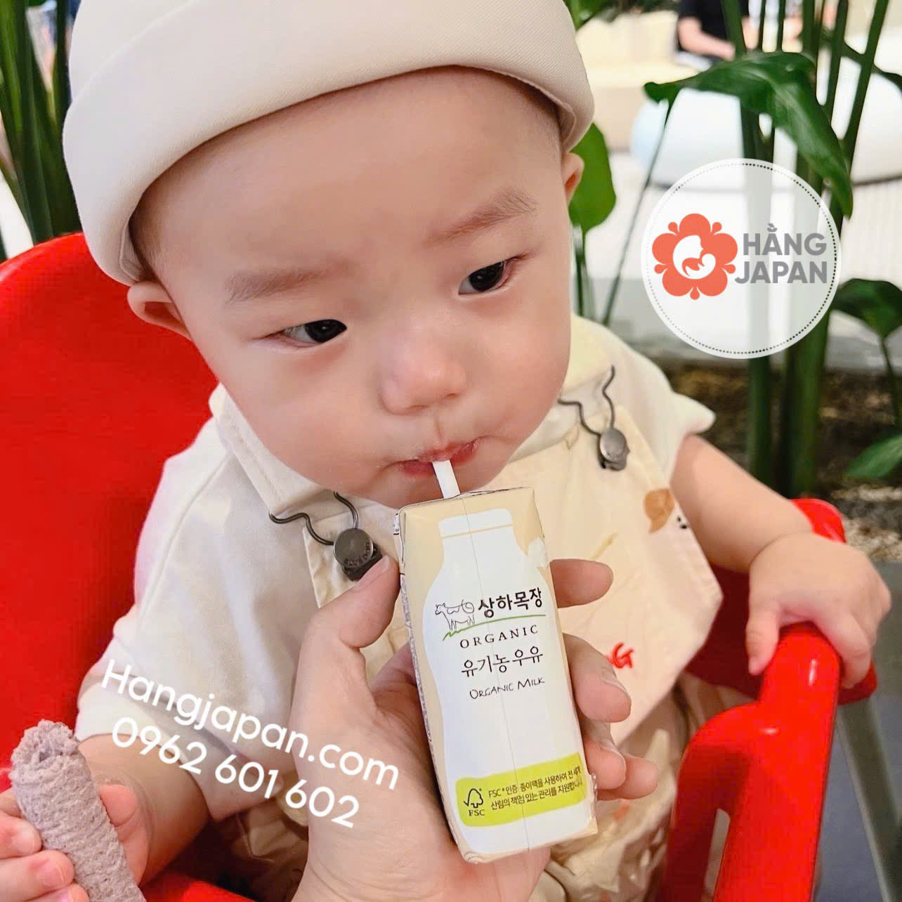 Sữa nước hữu cơ Hàn Sangha maeil (125ml) Sữa nước hữu cơ Hàn Sangha maeil (125ml)