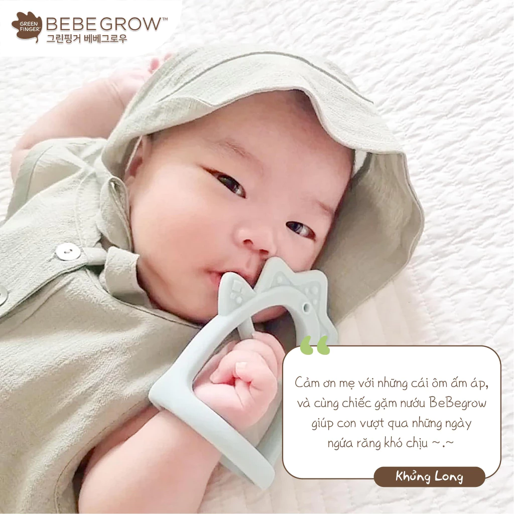 Gặm nướu BeBeGrow Green Finger Hình Gấu Kem 19 Gặm Nướu Bebegrow Green Finger Hình Gấu Kem (2)