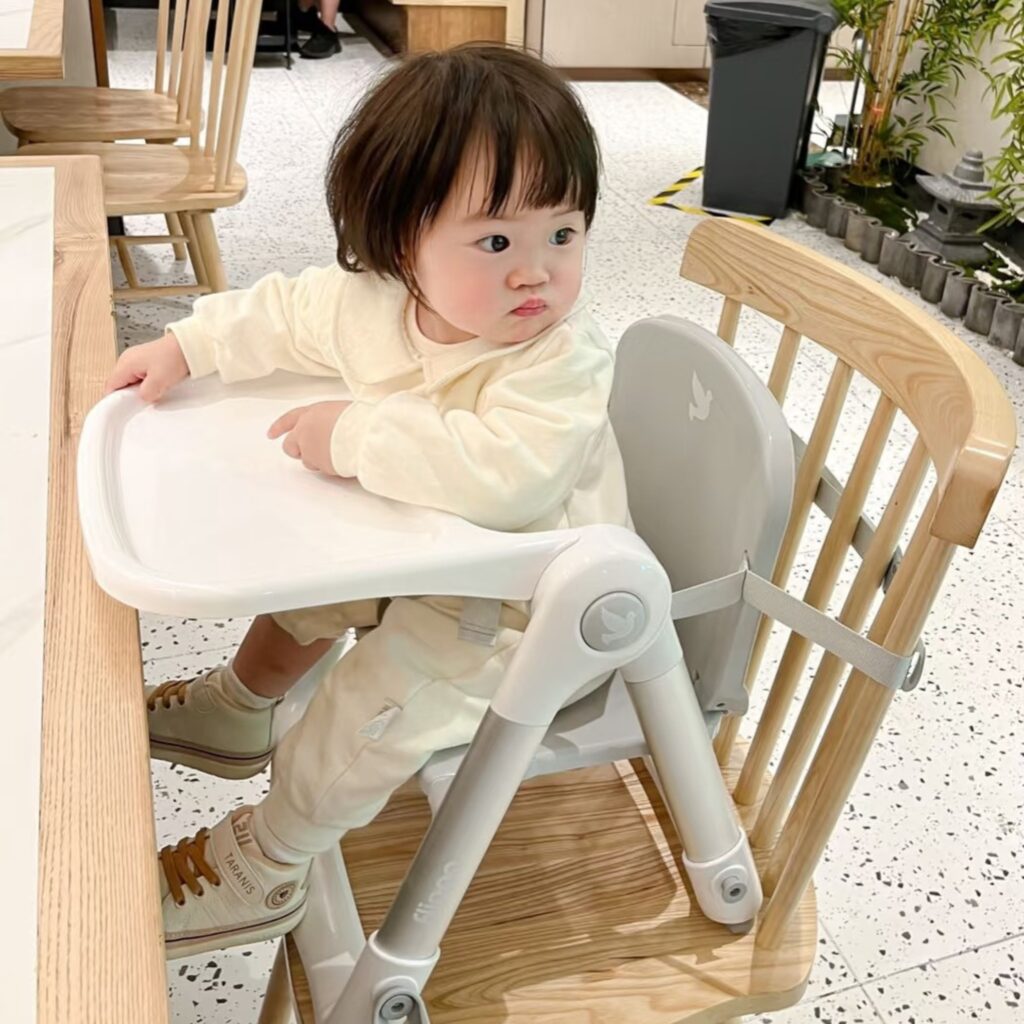 Ghế Ăn Dặm Gấp Gọn Apramo Flippa Ember Ghi Than 31 Ghế Ăn Dặm Gấp Gọn Apramo Flippa Ember Ghi Than (9)