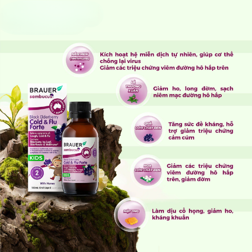 Brauer Siro cảm cúm cold &flu forte 100ml 2y+ Brauer Siro cảm cúm cold &flu forte 100ml 2y+