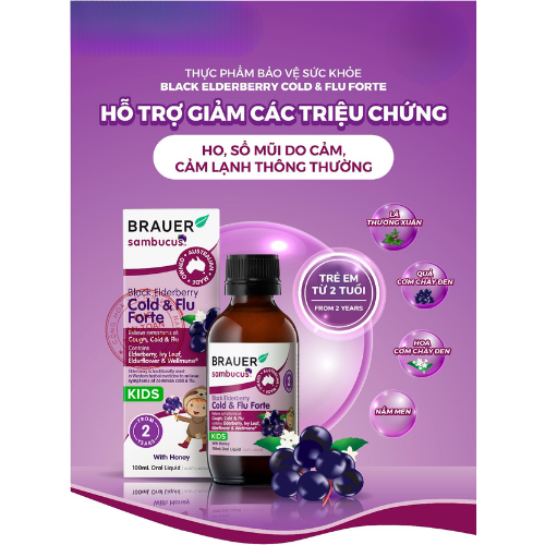 Brauer Siro cảm cúm cold &flu forte 100ml 2y+ 15 Brauer Siro Cảm Cúm Cold &flu Forte 100ml 2y+ (9)