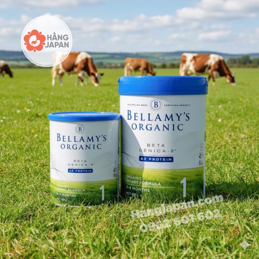 Sữa bột hữu cơ Bellamy's Organic A2 350g 23 Sữa Bột Hữu Cơ Bellamy's Organic A2 350g (8)